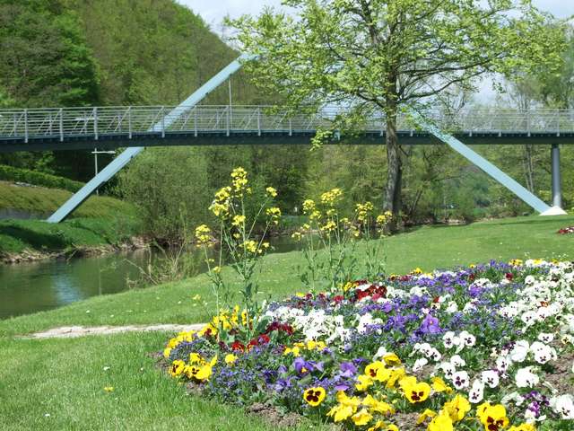 Raps im Rosengarten an der Fränkischen Saale