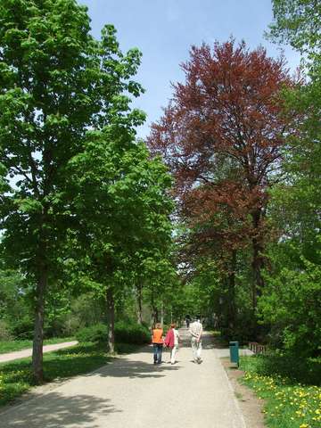 Anke, Helga und Horst auf der Salinenstraße