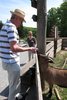 Horst mit Ziege im Wildpark