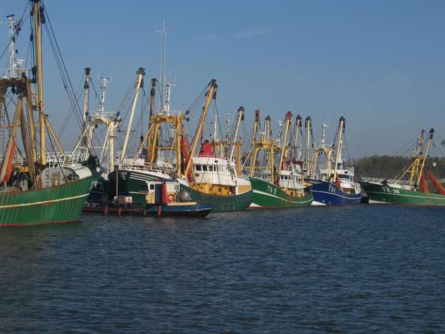 Fischerboote in Oudeschild