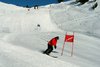Frank trainiert Slalom am Wurzenbord
