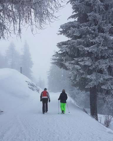 Martin und Anke auf der Aletsch-Promenade