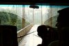 Blick durch Busfenster auf Hngebrcke des Sarapiqui