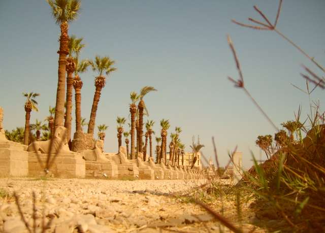 Die Sphingenalle von Luxor