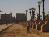 Anke in der Sphingenallee von Luxor
