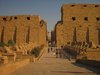 Widderallee vor dem ersten Pylon des Tempels von Karnak