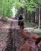 Reiter auf Waldweg
