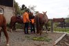 Helmut und Julia mit Pferden am Anbinder