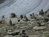 Steintrmchen vor dem Aletschgletscher