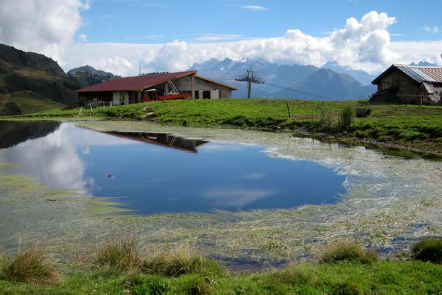 Kuhstall spiegelt sich in Teich