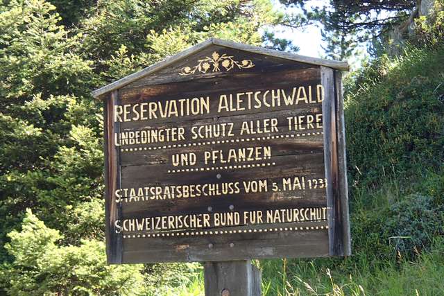 Schild am Aletschwald