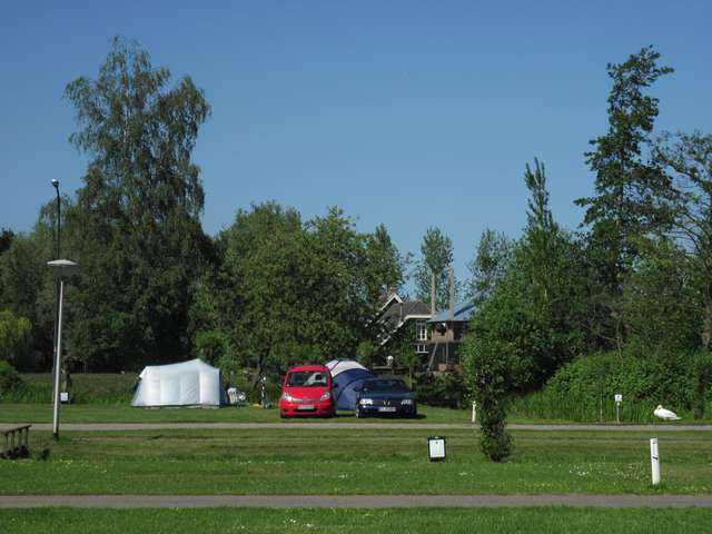 Zelte und Autos auf dem Campingplatz