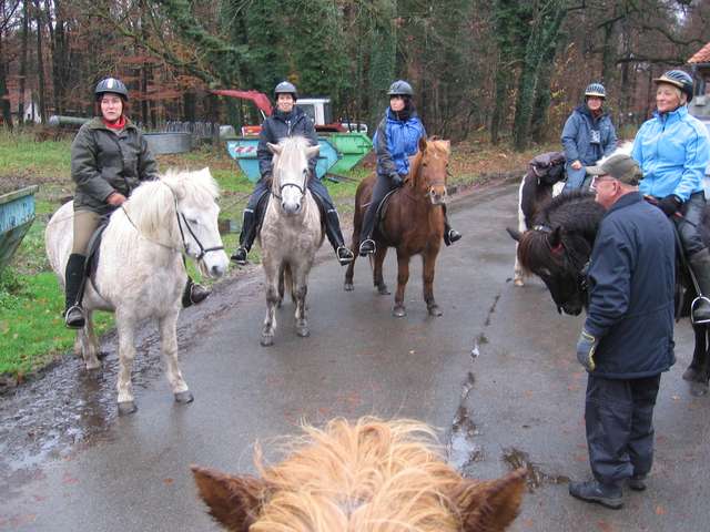 Reitergruppe vor dem Grnkohlritt