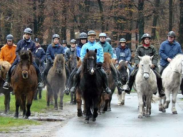 Reitergruppe beim Grnkohlritt