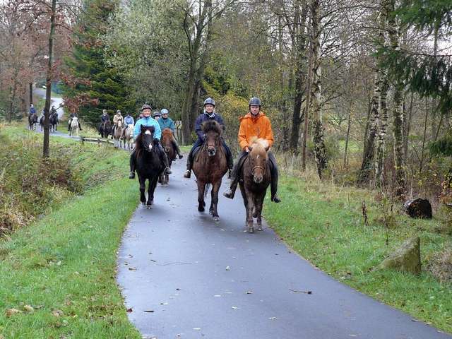 Reitergruppen auf dem Weg zur Mittagsrast