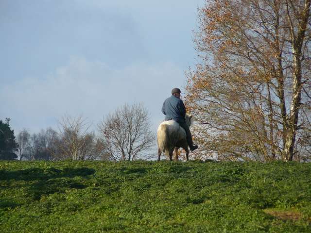 Hannes mit Pferd über Kuppe