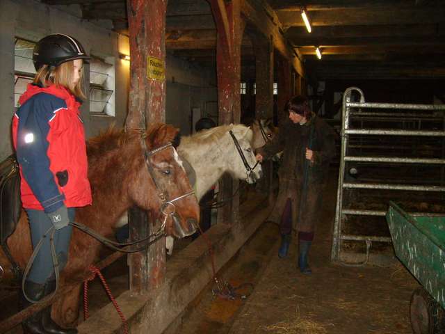 Esther beim Prfen der Schulpferde im Stall