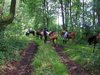 Reitergruppe bei Verschnaufpause im Wald