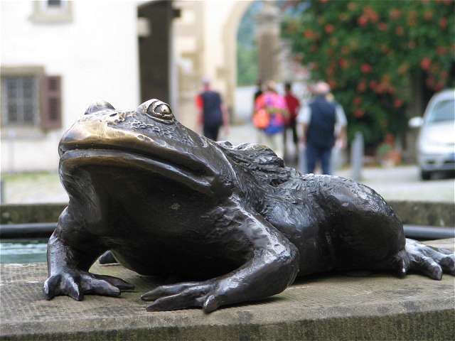 Frosch am Wunschbrunnen