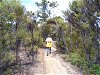 Wanderung am Abel-Tasman