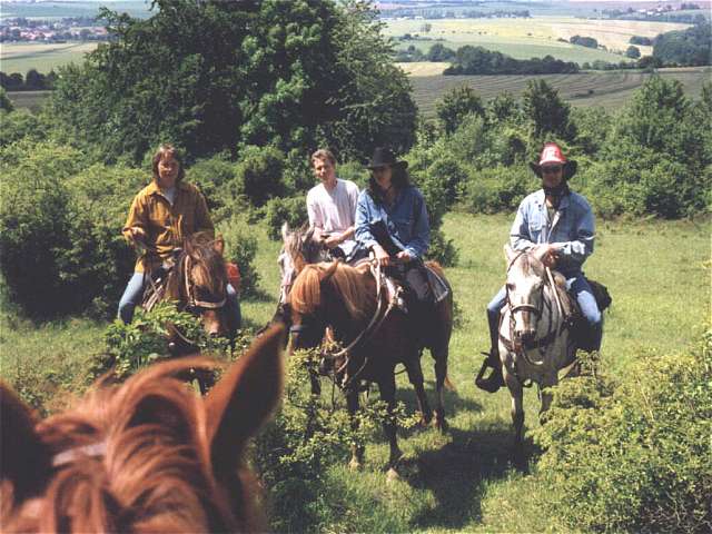 Gruppenbild mit Pferd