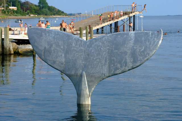Wal vor dem Hafenbad von Faaborg