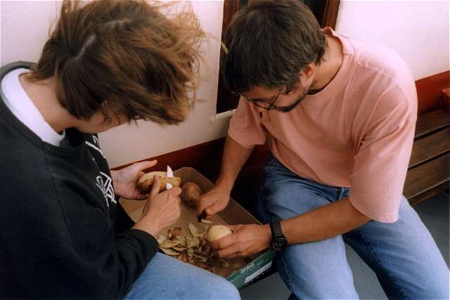 Anke und Bernd beim Kartoffel schlen