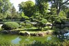 Teich im Japanischen Garten