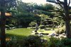 Blick durch Bume auf Teich im Japanischen Garten