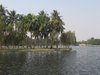 Palmenbestandene Halbinsel im Lenin Park
