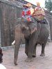 Elefantenritt fr Touristen in der Zitadelle von Hue