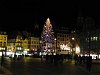 der Weihnachtsbaum am Marktplatz