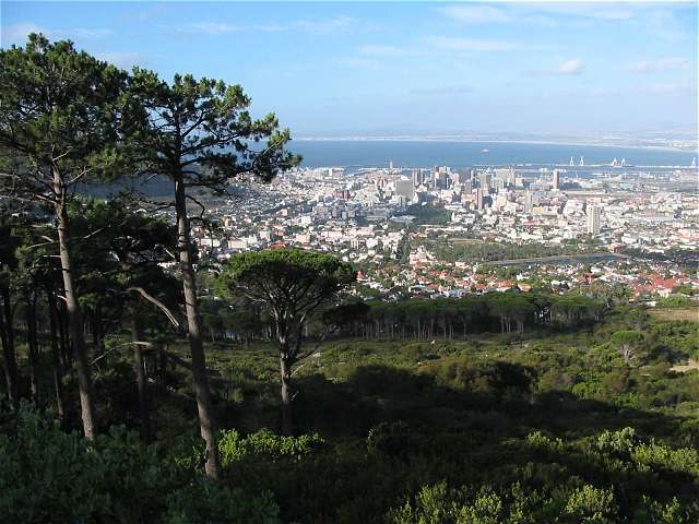 Sicht vom Tafelberg (Talstation)