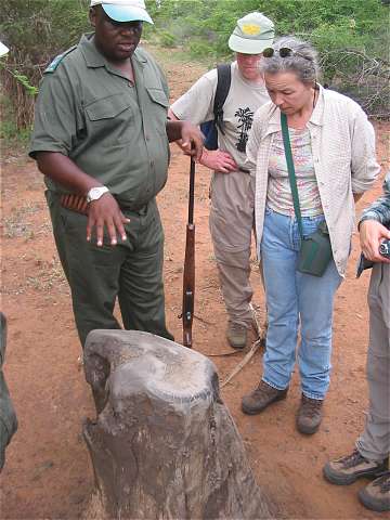 Ranger mit dem Nashornschubberstamm