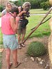 Fotografen vor der Spiral-Aloe