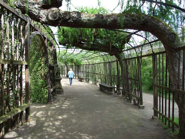 Anke im Laubengang des Hofgartens