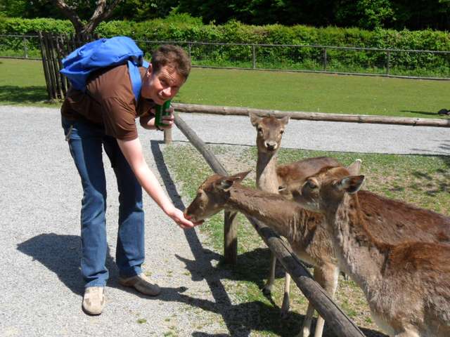 Helmut mit Damwild