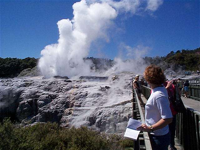 Geysir in Whakarewarewa