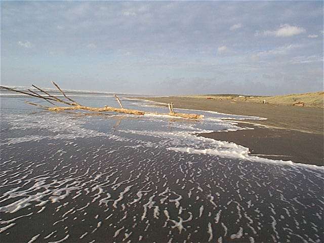 Strand in Waiterere