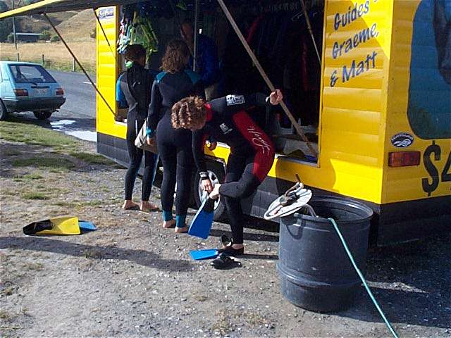 Seal-Swimming in Kaikoura